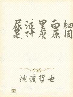 尿液里白细胞高是什么原因