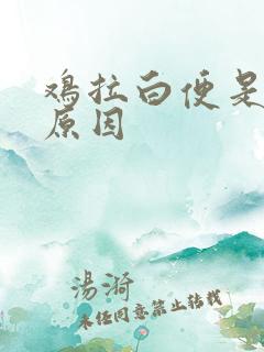 鸡拉白便是什么原因