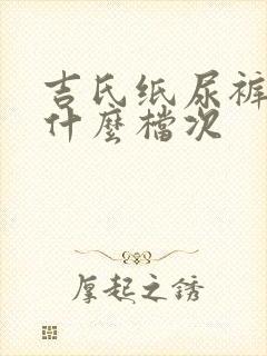 吉氏纸尿裤属于什么档次