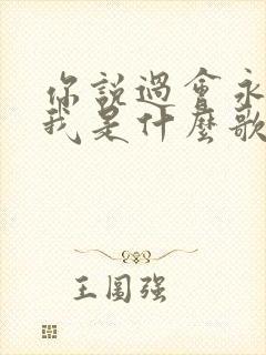 你说过会永远爱我是什么歌