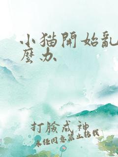 小猫开始乱尿怎么办