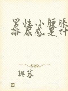 男性小腹胀痛有排尿感是什么原因