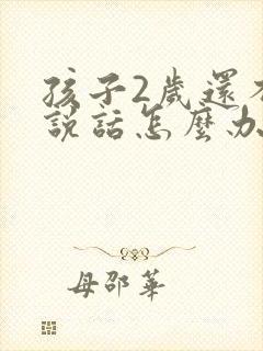 孩子2岁还不会说话怎么办