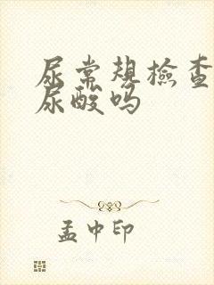 尿常规检查能查尿酸吗