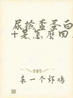 尿检查蛋白质1+是怎么回事