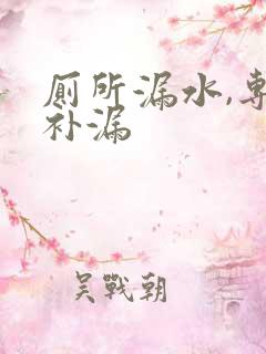 厕所漏水,专业补漏