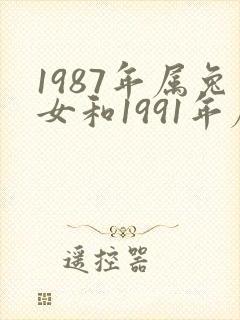 1987年属兔女和1991年属羊男婚配