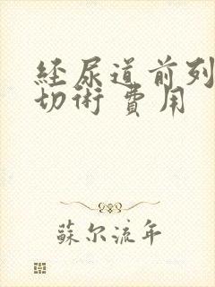 经尿道前列腺电切术 费用