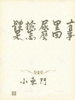 体检尿里有隐血是怎么回事