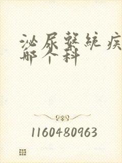 泌尿系统疾病看哪个科