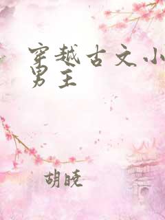 穿越古文小说双男主