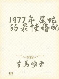 1977年属蛇的最佳婚配男人