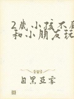 2岁小孩不愿意和小朋友玩