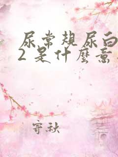 尿常规尿白细胞2 是什么意思