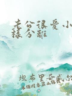 老公很爱小三怎样分离