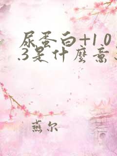 尿蛋白+1 0.3是什么意思