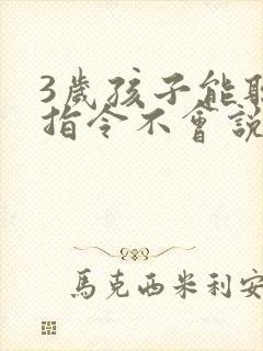 3岁孩子能听懂指令不会说话怎么办