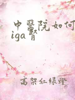 中医院如何治疗iga肾