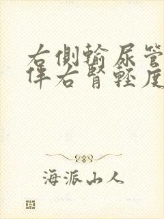 右侧输尿管结石伴右肾轻度积水怎么办