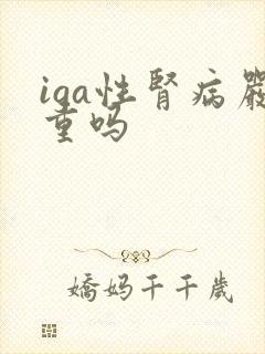 iga性肾病严重吗