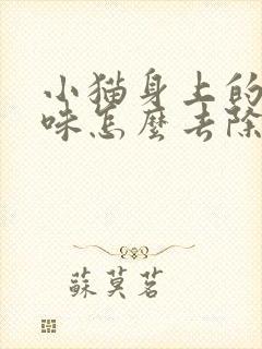 小猫身上的尿骚味怎么去除