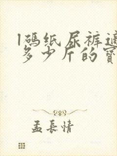 l码纸尿裤适合多少斤的宝宝