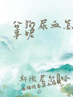 公狗尿血怎么回事呢