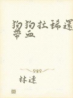 狗狗拉稀还有点带血