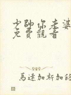 少帅你老婆又跑免费观看