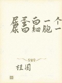 尿蛋白一个加号尿白细胞一个加号