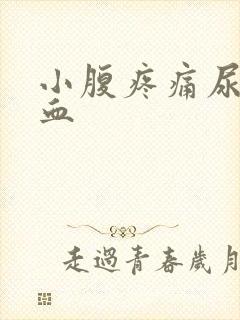 小腹疼痛尿中带血