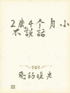 2岁4个月小孩不说话