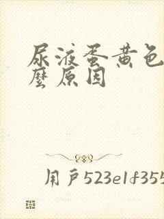 尿液蛋黄色是什么原因