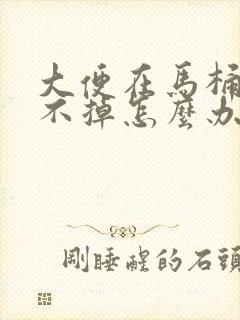 大便在马桶里冲不掉怎么办