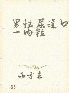 男性尿道口上长一肉粒