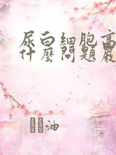 尿白细胞高说明什么问题严重吗