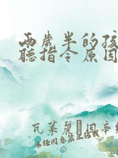 两岁半的孩子不听指令原因