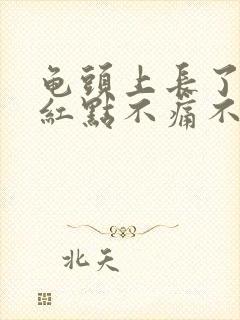 龟头上长了几个红点不痛不痒