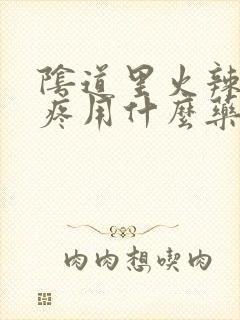 阴道里火辣辣的疼用什么药