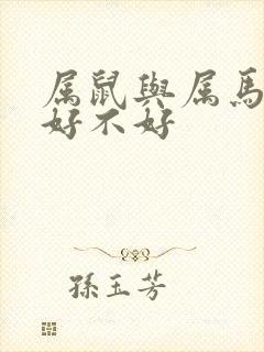 属鼠与属马婚配好不好