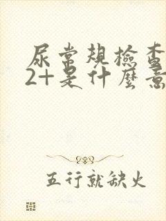 尿常规检查隐血2+是什么意思