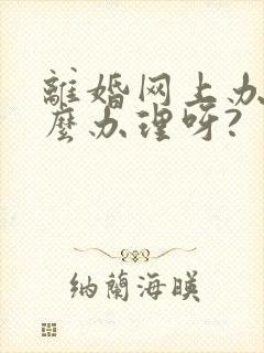 离婚网上办理怎么办理呀?