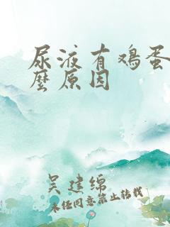 尿液有鸡蛋味什么原因