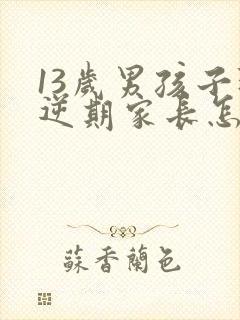 13岁男孩子叛逆期家长怎么做