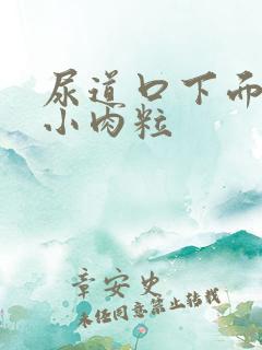 尿道口下面长个小肉粒