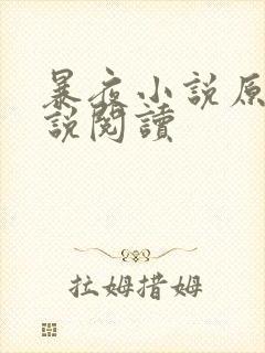 暴夜小说原著小说阅读