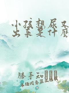 小孩想尿又尿不出来是什么病