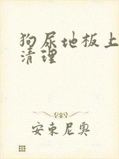 狗尿地板上怎么清理