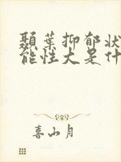 颞叶抑郁状态可能性大是什么意思