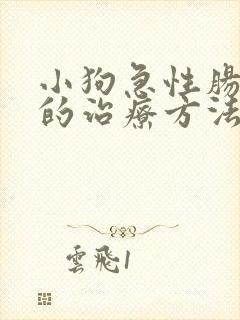 小狗急性肠胃炎的治疗方法